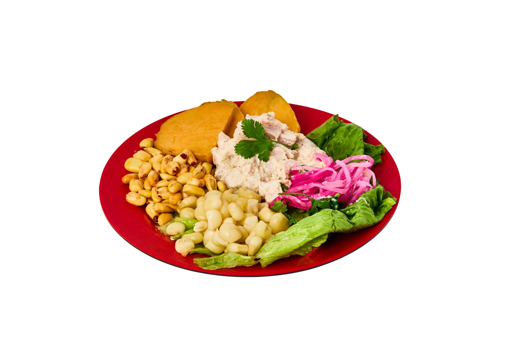 ceviche_peruano_comedorelnano.